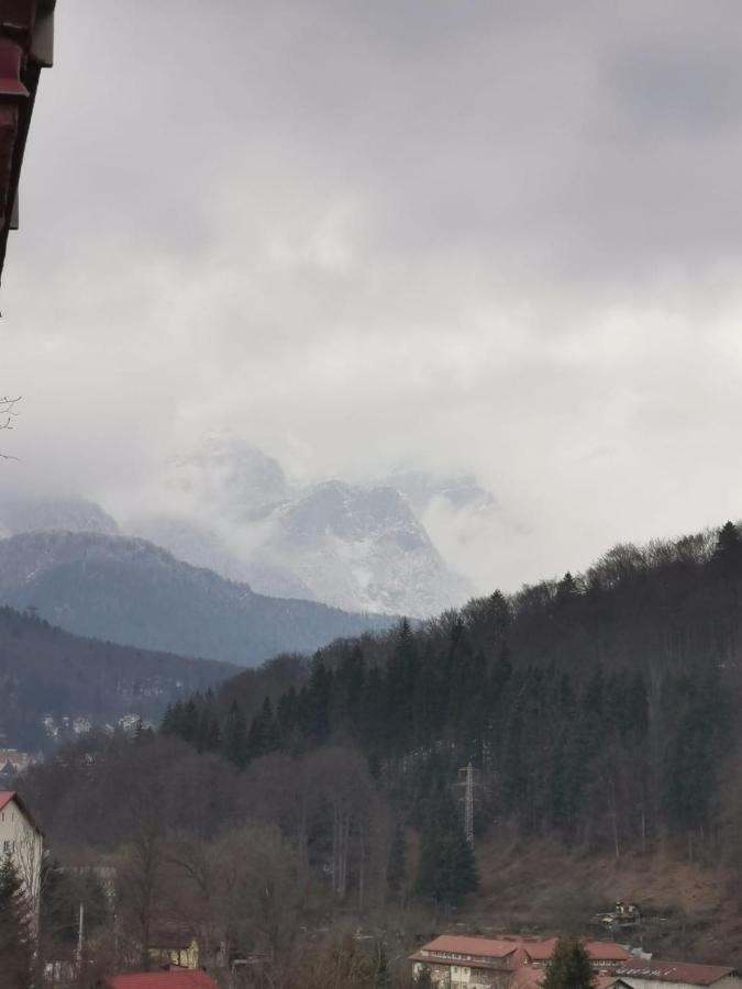 Apartmán Apartament Panoramic View Sinaia Exteriér fotografie