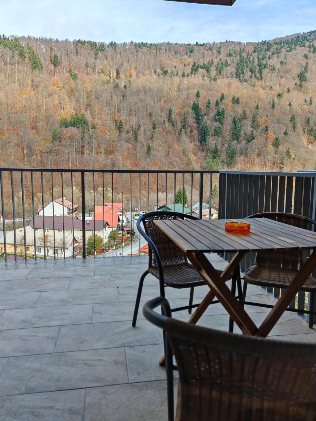 Apartmán Apartament Panoramic View Sinaia Exteriér fotografie